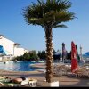 Отель Studio in Elenite, with Wonderful Sea View, Pool Access, Furnished Balcony - 20 M From the Beach, фото 9