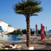 Отель Studio in Elenite, with Wonderful Sea View, Pool Access, Furnished Balcony - 20 M From the Beach, фото 11