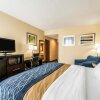 Отель Comfort Inn & Suites Lantana - West Palm Beach South, фото 18