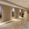 Отель Vienna International Hotel (Baoding Yuhua Road Branch), фото 13