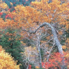 Отель NY Building 4th Floor, Guest House Ichibangai, Roo / Vacation STAY 55905, фото 8