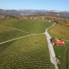 Отель Wine Grower's Mansion Zlati Gric, фото 48