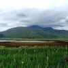 Отель Lovely 1-bed Cottage in Isle of Mull, фото 19