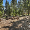Отель North Lake Tahoe Cabin: 4 Mi to the Beach!, фото 17