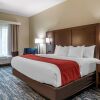 Отель Comfort Inn & Suites Downtown near University, фото 19