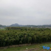 Отель Hangzhou ailidie homestay, фото 13