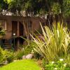 Отель Suite 4A, Terraza, Garden House, Welcome to San Angel, фото 8