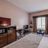 Отель Econo Lodge Inn & Suites, фото 22