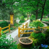 Отель Futian Yiye Inn, фото 13