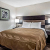 Отель Quality Inn & Suites, фото 3