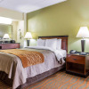 Отель Comfort Inn Conyers, фото 7