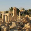 Отель Dedeman Palmyra в Пальмира