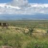 Отель Osiligilai Maasai Lodge, фото 22