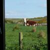 Отель Entire House Near Doolin on the Wild Atlantic Way., фото 33