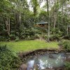 Отель Narrows Escape Rainforest Retreat в Монтвилле