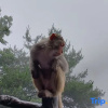 Отель Home Inn (Zhangjiajie Tianmen Mountain Scenic Area Cableway Station), фото 16