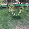 Отель Villa With 4 Bedrooms in San Isidro de Abona, With Wonderful sea View,, фото 15
