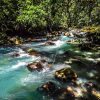 Отель Posada Río Celeste La Amistad, фото 43