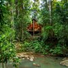 Отель The Canopy Rainforest Treehouses and Wildlife Sanctuary, фото 9