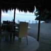 Отель Pura Vida Beach & Dive Resort, фото 2