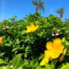 Отель Miyakojima, фото 4