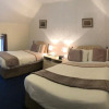 Отель O'Connors Guesthouse, фото 17