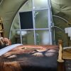 Отель Amanya Camp1-bed King Lion Tent in Amboseli NP, фото 17