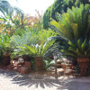 Отель El Gran Chaparral Guest House, фото 11