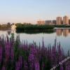 Отель 99号假日酒店(银川宝湖公园店), фото 18