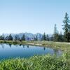 Отель Panorama Chalet Seefeld, фото 12