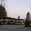 Отель Dutch Cup Motel, фото 15