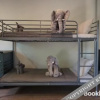 Отель I love phants Lodge, фото 42