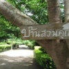 Отель Baansuan Khun Phat Resort в Тгонг-Фа-Фуме