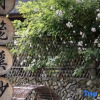 Отель Taishun Yuelong Xisha Boutique Homestay, фото 17
