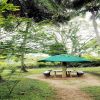 Отель Jungle Paradise Farm And Guest House, фото 16