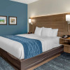 Отель Comfort Inn & Suites Troutville - Roanoke North /, фото 12