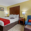 Отель Comfort Inn, фото 6