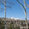 Отель Aspen Ridge 6 3 Bedroom Townhouse by Alpine Lodging Telluride, фото 1