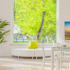 Отель Rio Beach & Breakfast, фото 21