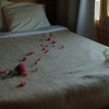 Отель Nuweiba Lodge, фото 21