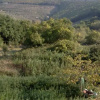 Отель Il Colle Calci, фото 2