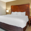 Отель Comfort Inn, фото 3