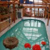 Отель The Chalets Naldehra, фото 11