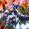 Гостиница Malahovsky Ochag Hotel в Малаховке