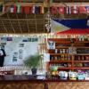 Отель Archery-Asia Nipa Huts & Camping Moalboal, фото 19