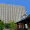 Отель Route Inn Mitokenchomae, фото 1