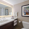 Отель Embassy Suites by Hilton Orlando International Dr Conv Ctr, фото 8