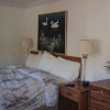 Отель Eagle Motel, фото 3