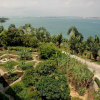 Отель Batam View Beach Resort, фото 30