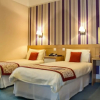 Отель New Wilmington Hotel, фото 4